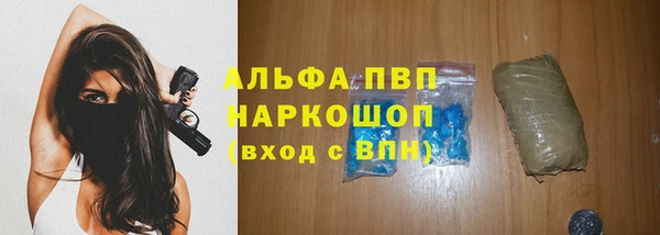 spice Дмитровск