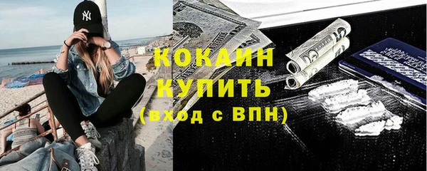 ALPHA PVP Гусев