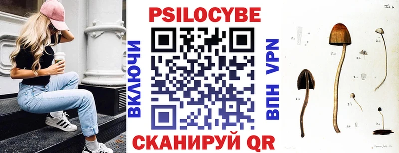 Галлюциногенные грибы GOLDEN TEACHER  Купить  Кимовск 
