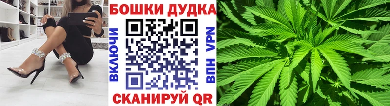Купить где  Кимовск  Марихуана SATIVA & INDICA 